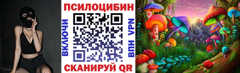 Псилоцибиновые грибы Psilocybine cubensis Людиново